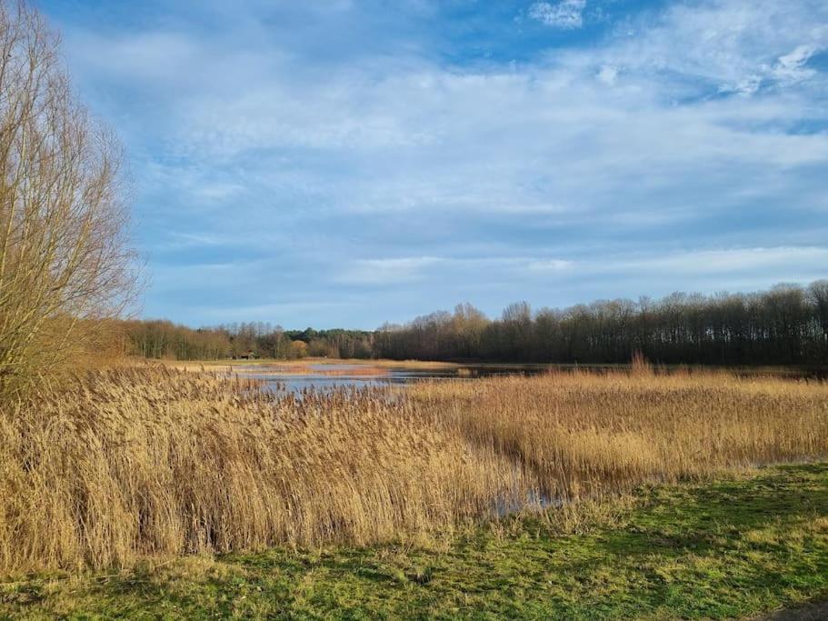 Luxe-Avontuur In Een Romantische Cabin In Het Bos Stekene Exterior foto